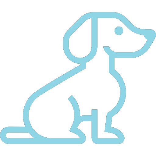 Live the Dog Roma Adatto ai cani di tutte le età