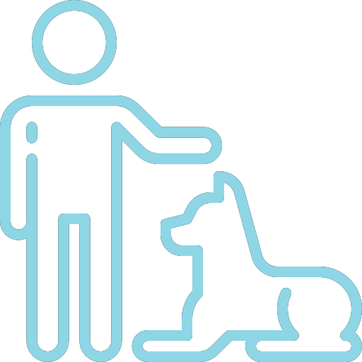 Live the Dog Roma Apprendimento e Gestione dello Spazio